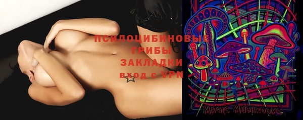 apvp Алексеевка