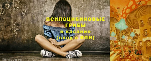 винт Алзамай
