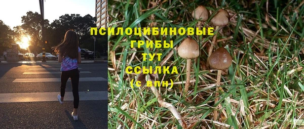 винт Алзамай