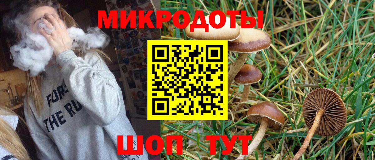 даркнет сайт  Вход с VPN  Псилоцибиновые грибы GOLDEN TEACHER  Похвистнево  Псилоцибиновые грибы Magic Shrooms 