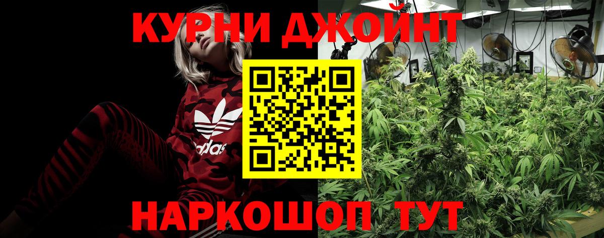 Шишки марихуана тримм  Вход с VPN  Шишки марихуана марихуана  Похвистнево 